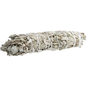 White Sage for Smudging