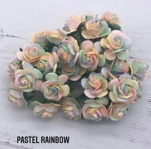 Om Floral Rainbow (Bright & Pastel) Frame